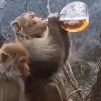 다신 캡틴큐를 무시하지 마라