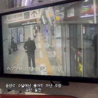대구 지하철에 오랑우탄 출몰