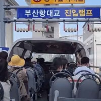 고소공포증있는 사람은 다리가 후들거릴 수 있다는 부산 어느 찻길