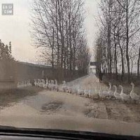 지각사유로 인정 해준다 vs 안해준다