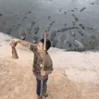 큰거 노리는 악어