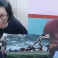 진격의 거인 엘빈 유족반응