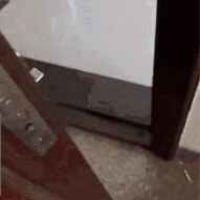 주인 놀리는 골댕이