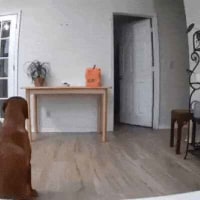 밥을 몰래 먹는 계획