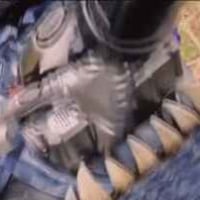 현지에서 화제라는 어린이 히어로물 극장판