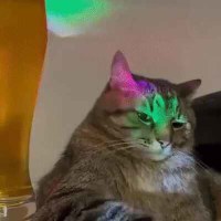 버티면 부러져요~