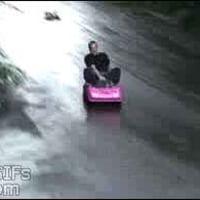 지금 도란 주사위 1이 아닌데?