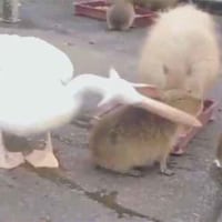 오늘은 ㄹㅇ 기분이잡치네