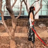 우리팀 그레이브즈의 성장일대기