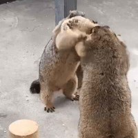 에헤이~~! 김씨가 참어!!! 어휴 왜 이럴까 참어!