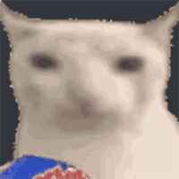 지금 옵치 무슨 메타임?