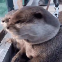 뭐 그리지