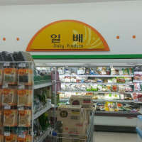 이거해석무엇.. ?