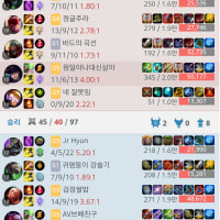 이거 져서 억울한데 정상이냐