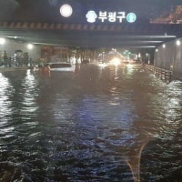 Rain are you crazy?