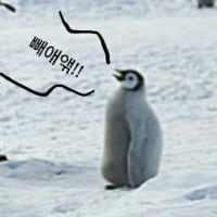 롤이나 하실분?
