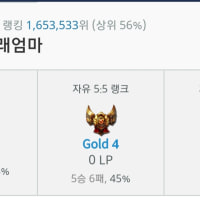 티모 너무재밌엉