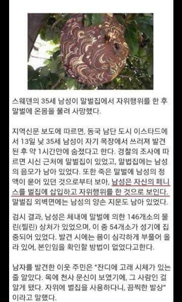미친놈.jpg