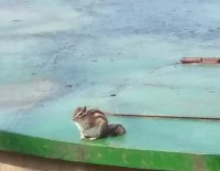 서술형) 이짤에 대한 제목을 지어보시오.
