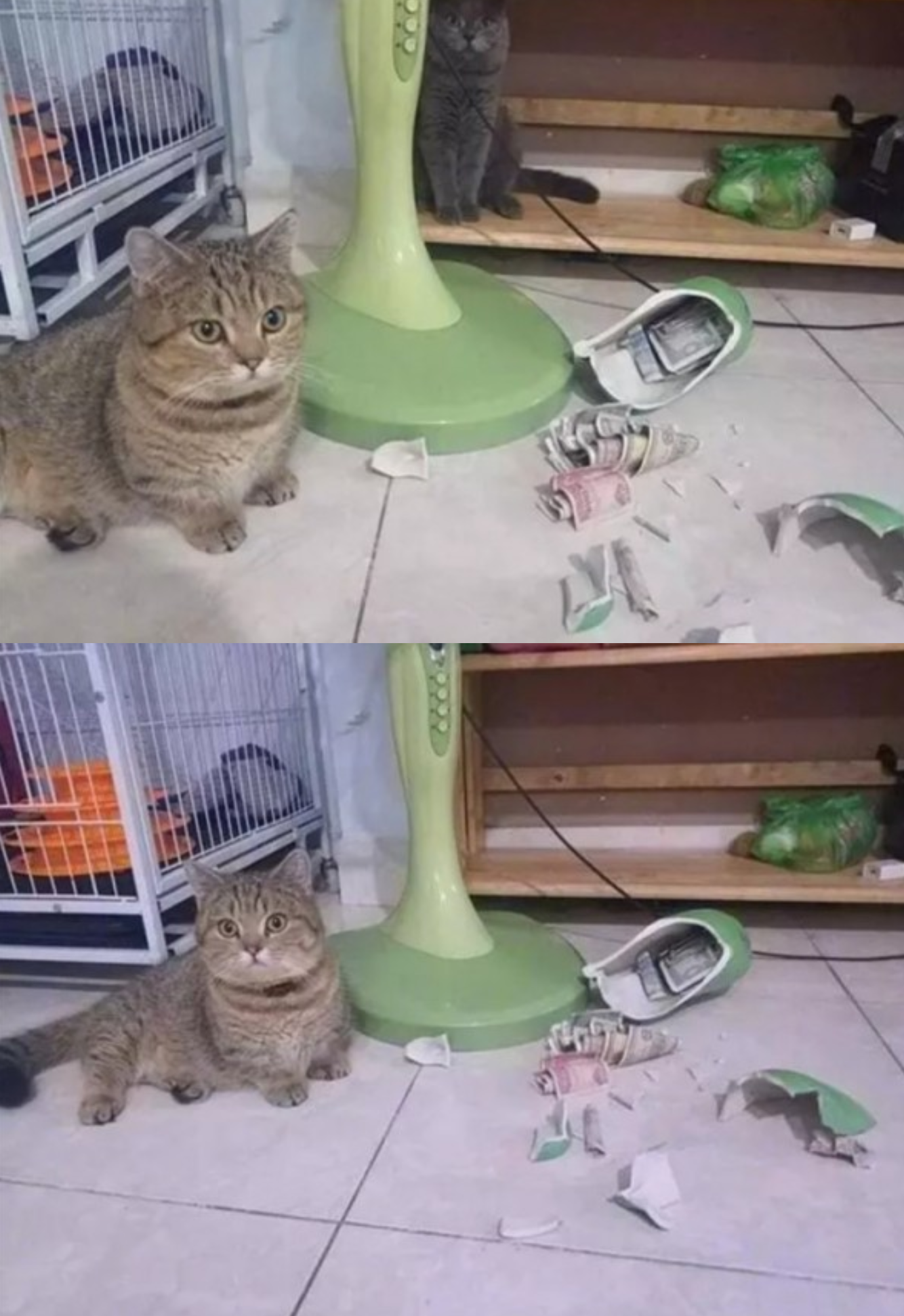 20190214_005540.png