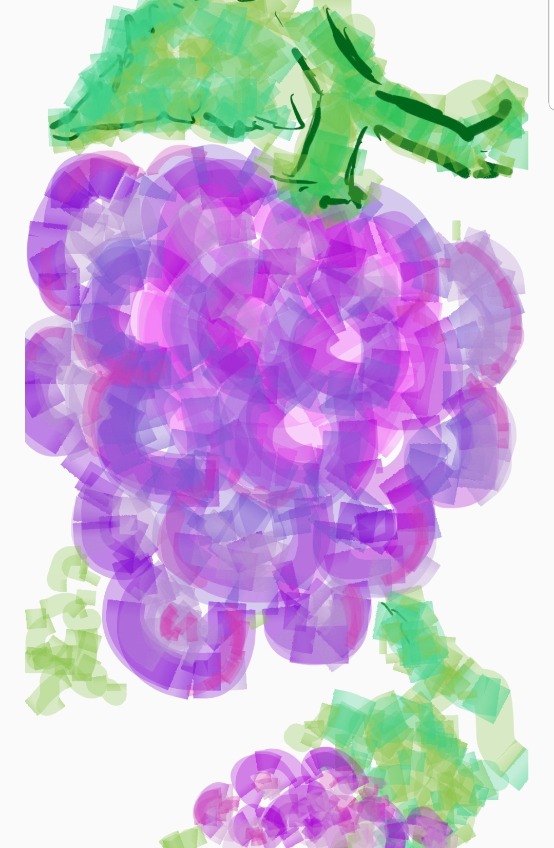 Screenshot_20190217-125720_Samsung Notes.jpg