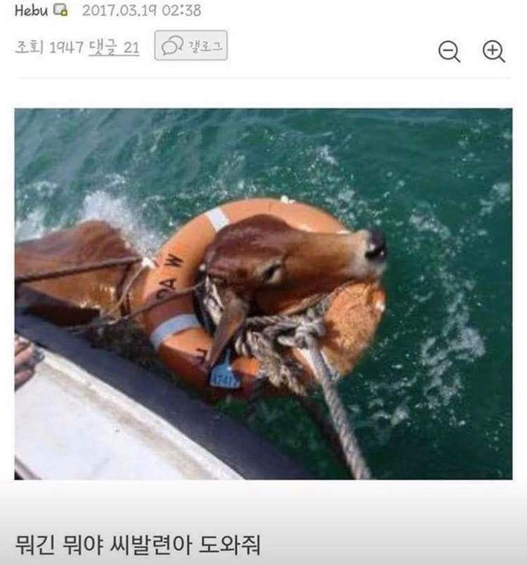 8DE5F0E3-D249-442F-9F9E-7112272F0D91.jpeg