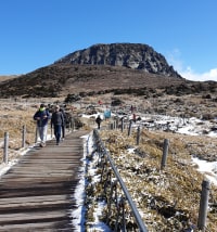 제주도 한라산 갔다옴