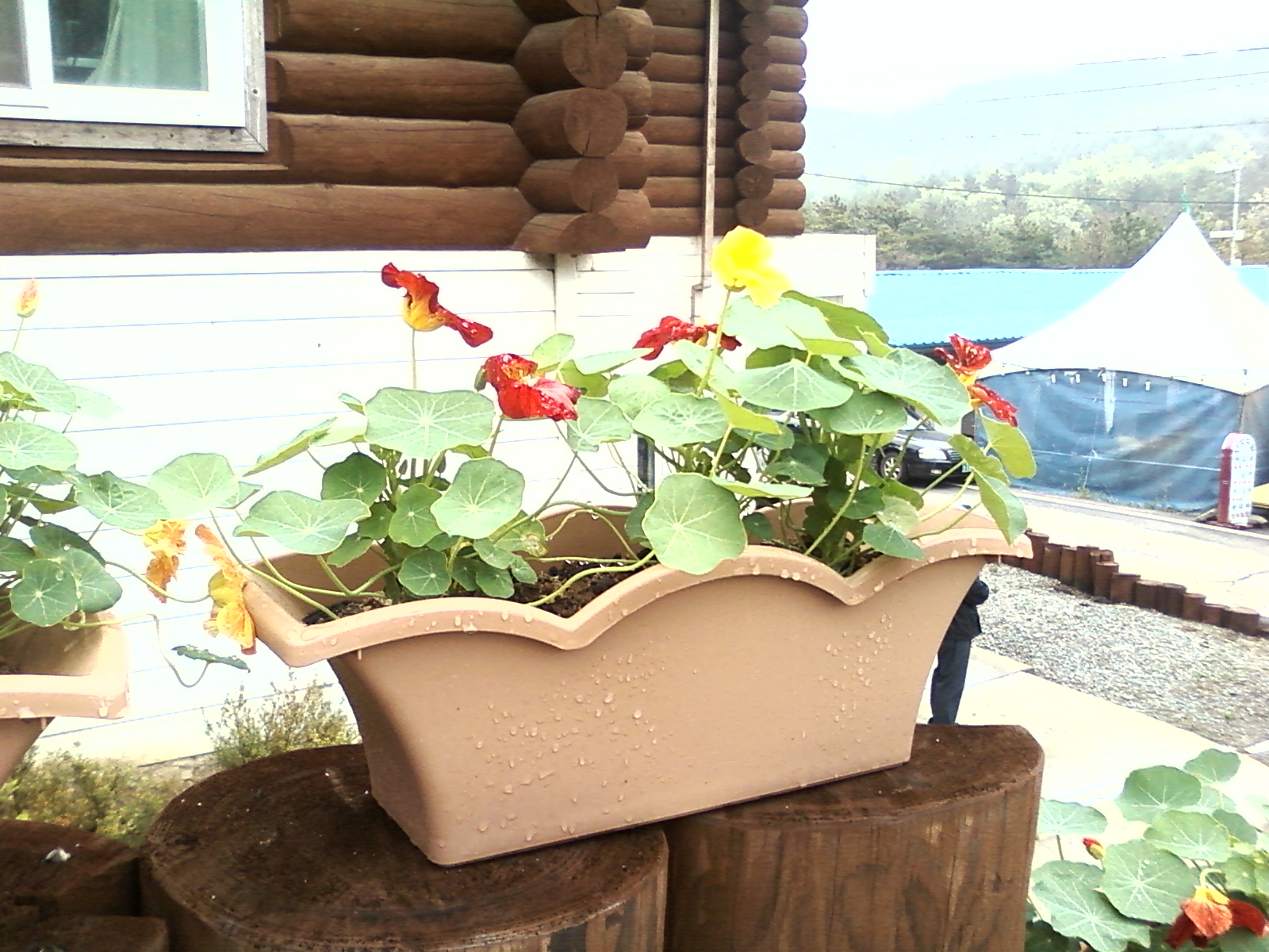 MyPhoto_1156945765_0003.jpg