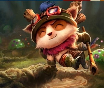 티모.jpg