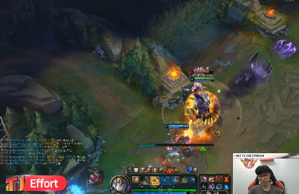 z.gif
