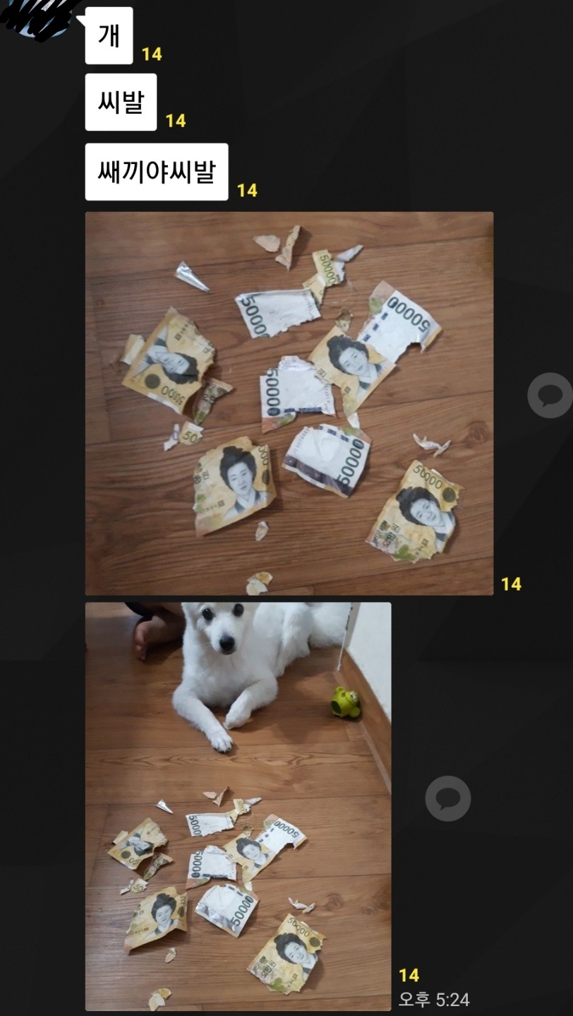 개조심.jpg