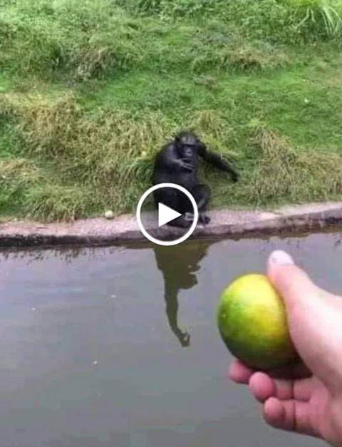 c21285c25d851633d3107487510105.jpg