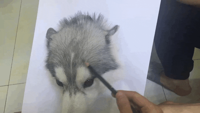 20180305175652_955593.gif