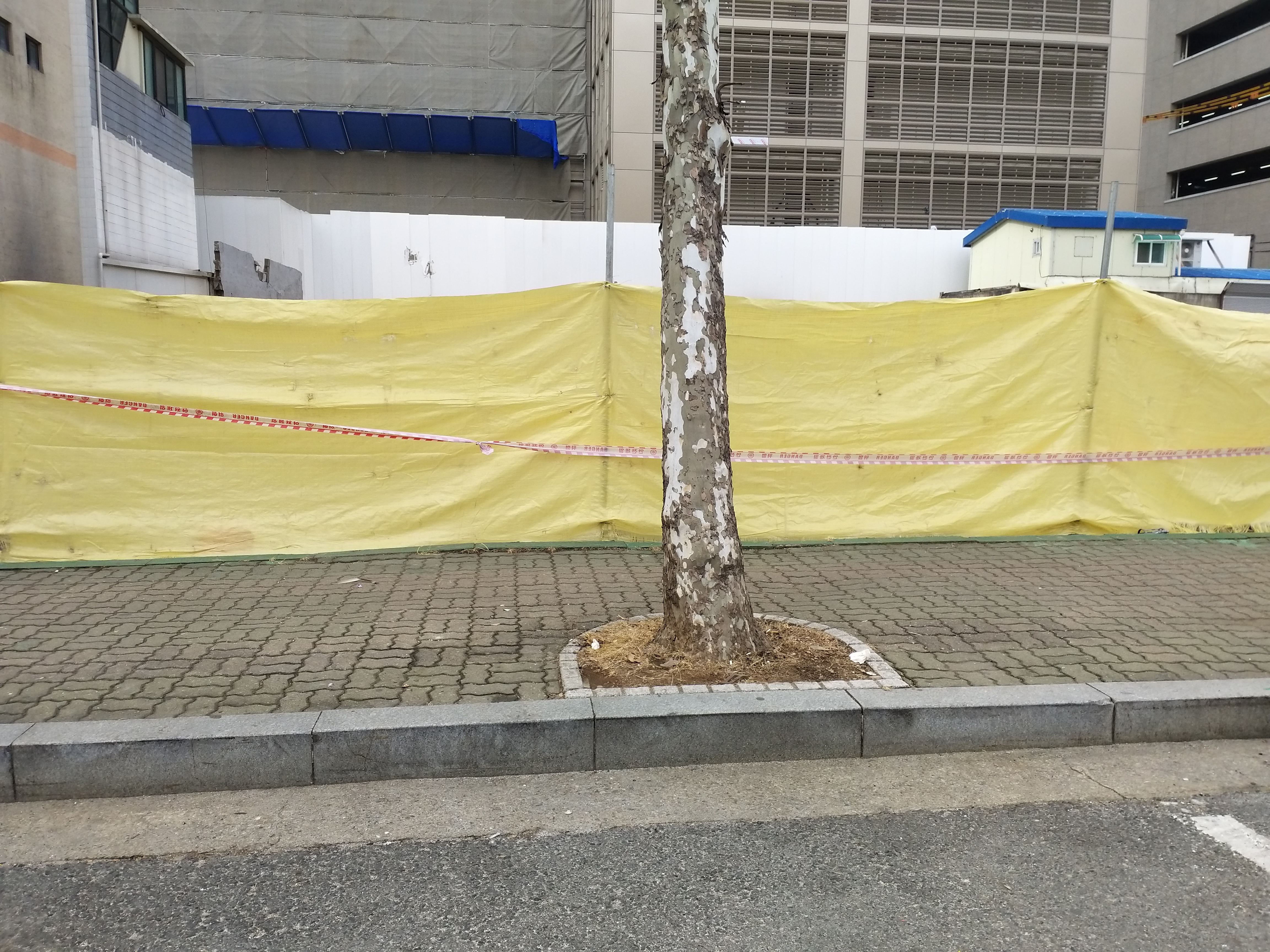 20190206_132434.jpg