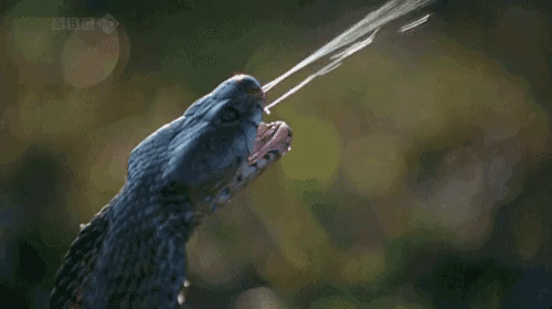 ezgif-1-09f574e916cd.gif