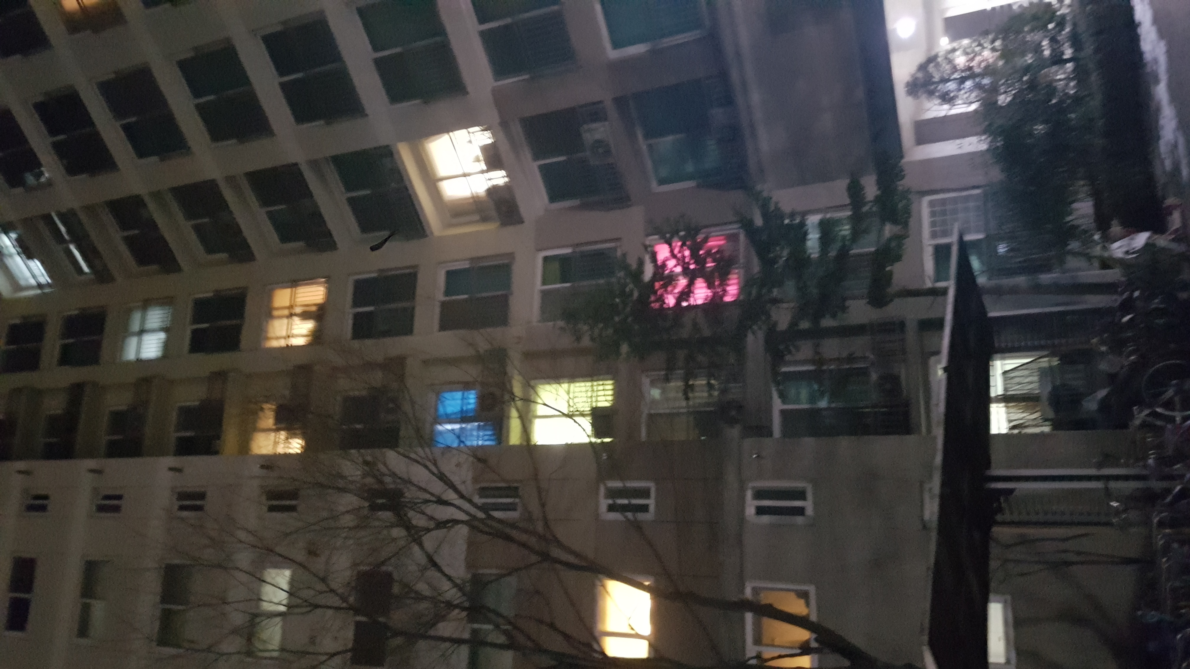 20190223_224910.jpg