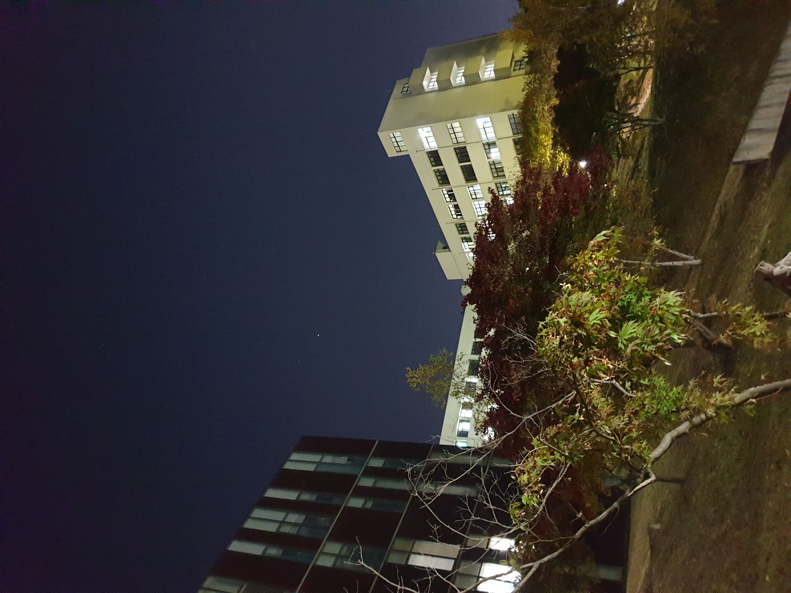 20181031_210742.jpg