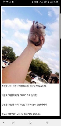 ??? : 너구리의 응원말고 내 응원도 받아줭