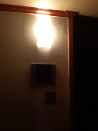 옵지인형들 실시간 블랙아웃 경험함