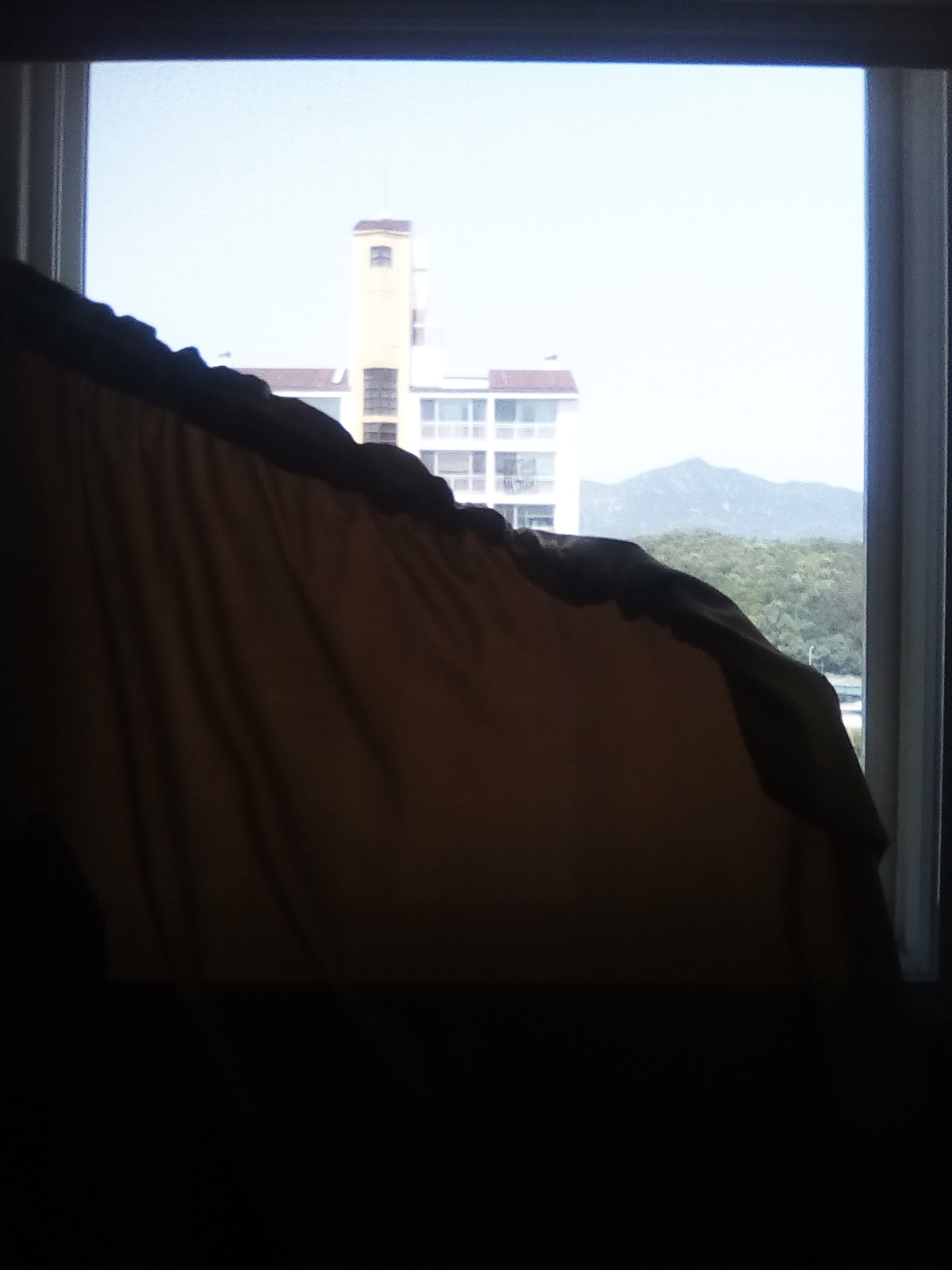 IMG_20190526_135042.jpg