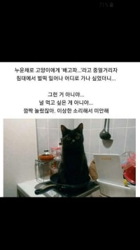 된장 발릴 줄 알았냐