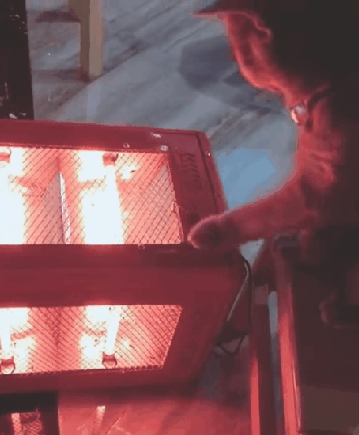 1562854710220.gif