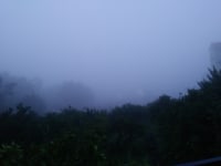 제주도 날씨 근황