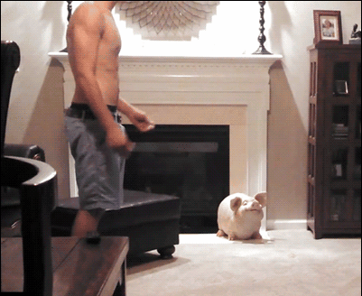 1561280479954.gif