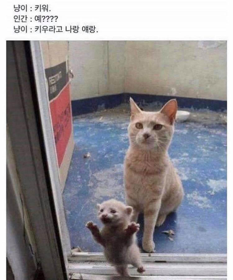 FB_IMG_1564292364128.jpg