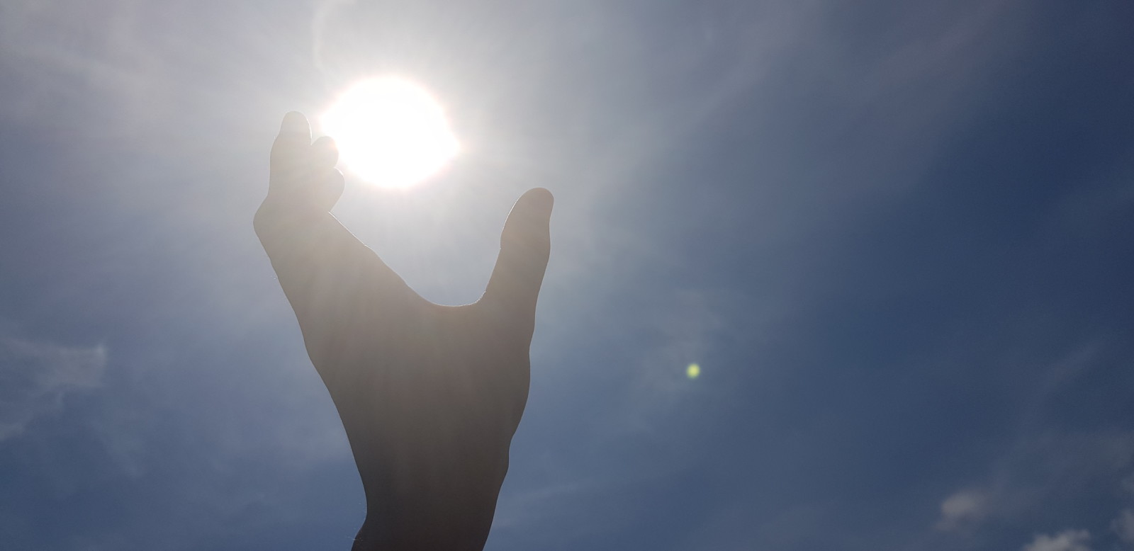 20190729_140820.jpg