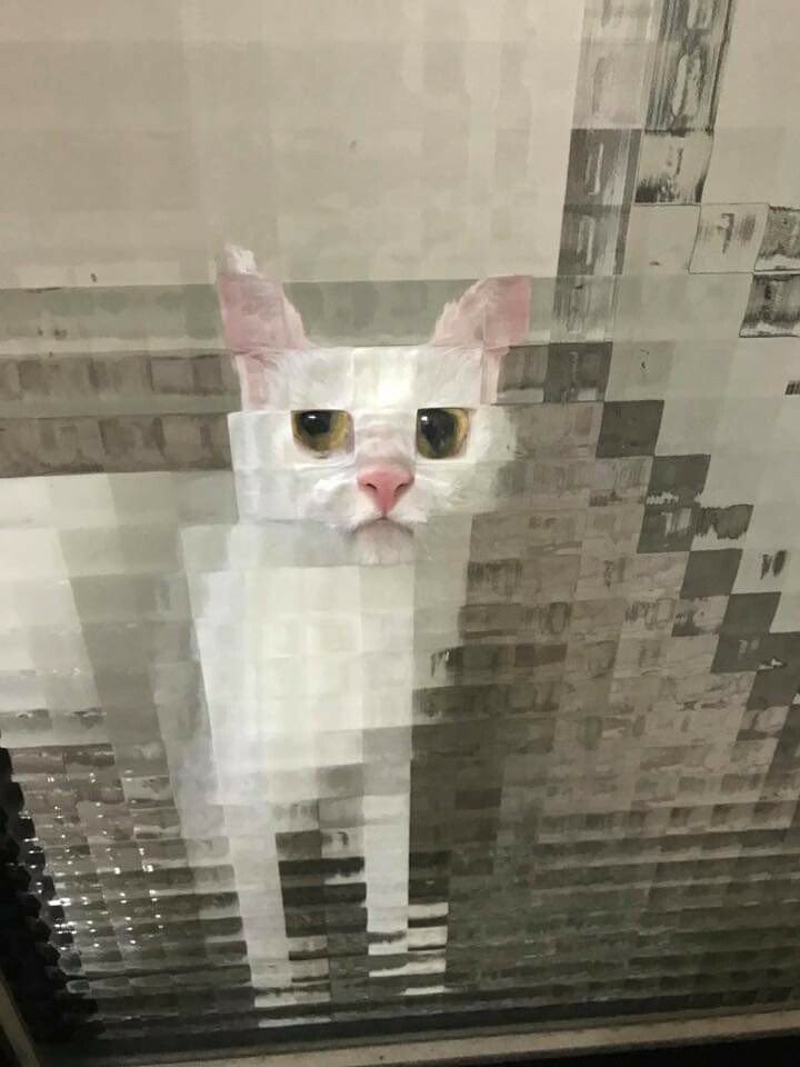 어디선가 주워온 짤