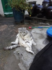 우리집 건방진 유미