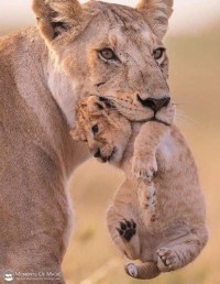 여기서 강호동찾으면