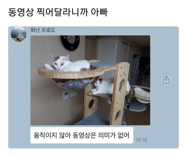 552778D3-3461-4C93-B0D7-01F0BFDB1E17.jpeg